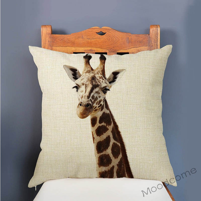 Niedliche Baby-Einstellung, Ki – Baby Zebra Nursery Bewertung und Preis