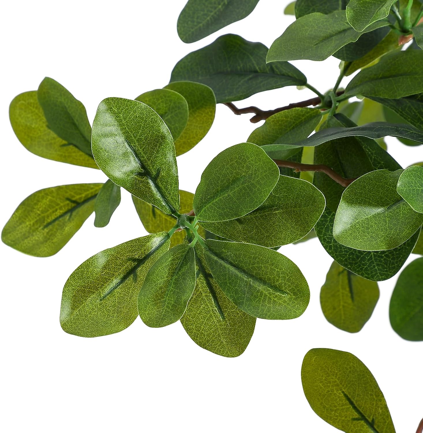 Künstliche Zimmerpflanzen, 5/6 – Baby Nursery Tree Bewertung und Preis
